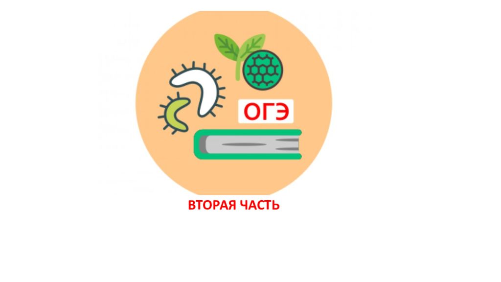 ВТОРАЯ ЧАСТЬ