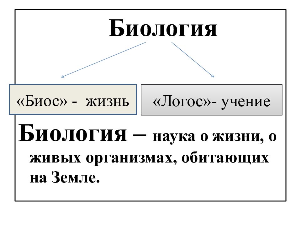 Биология 5 класс презентация биология наука о живой природе