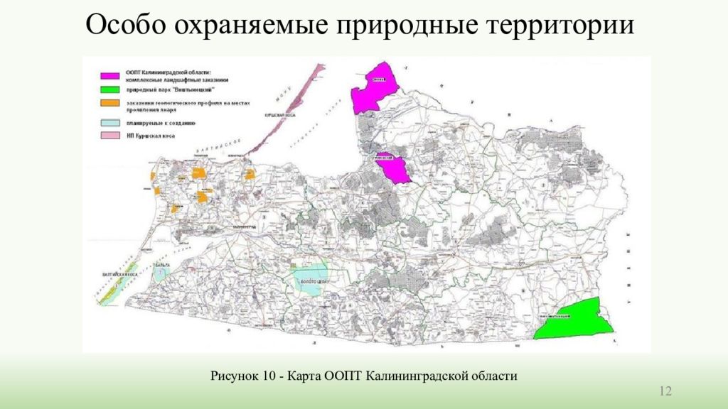 Калининградская область карта ландшафта