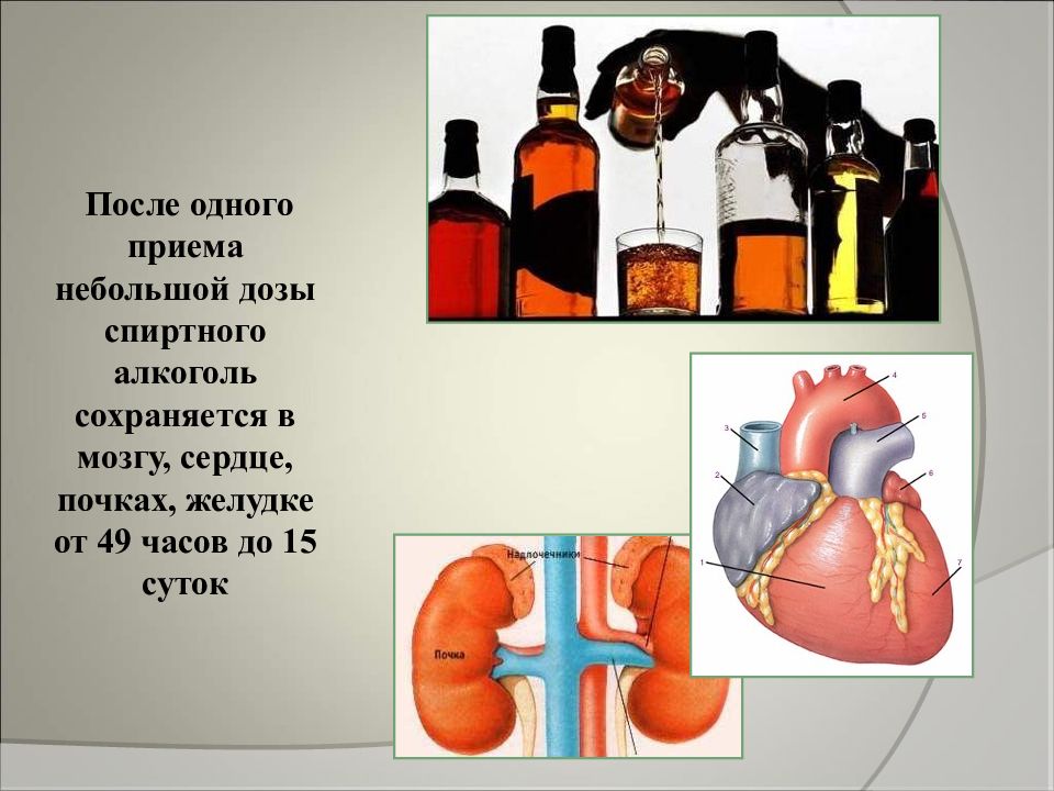 Презентация на тему влияние алкоголя на здоровье человека