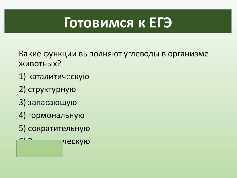 Какие функции выполняют углеводы