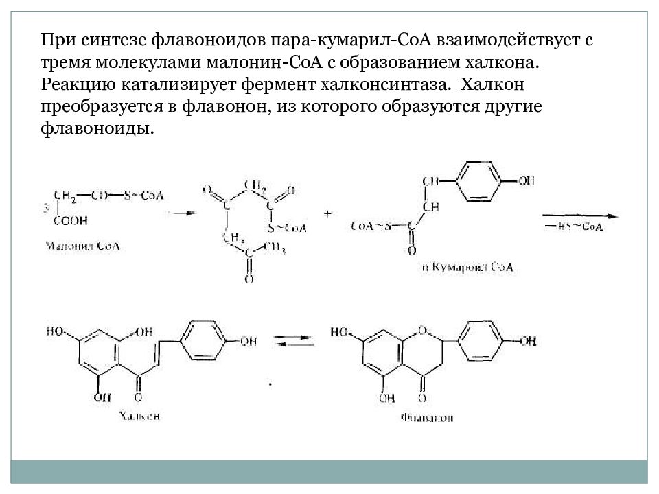 Синтез в направлении 3 3 5. Халконы Синтез. Реакция на флавоноиды. Синтез фенольных соединений в растениях. Флавоноиды это фенольные соединения.