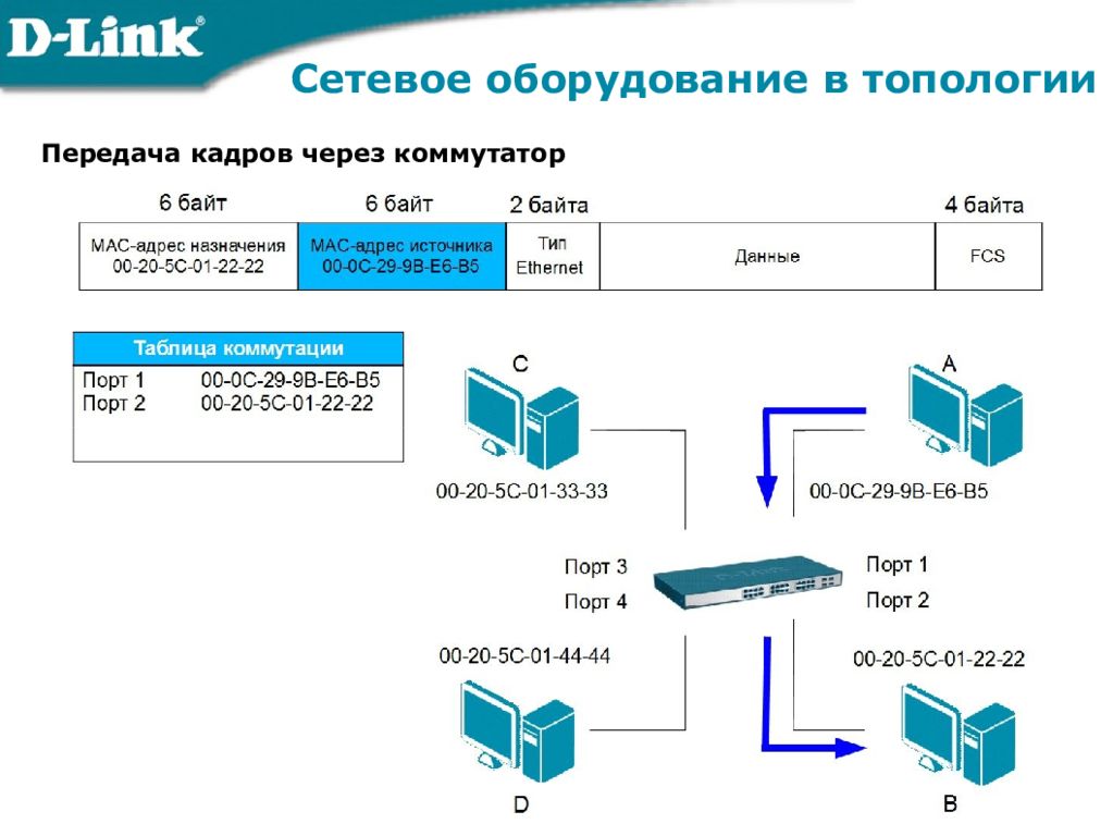 Сетевое оборудование в топологии