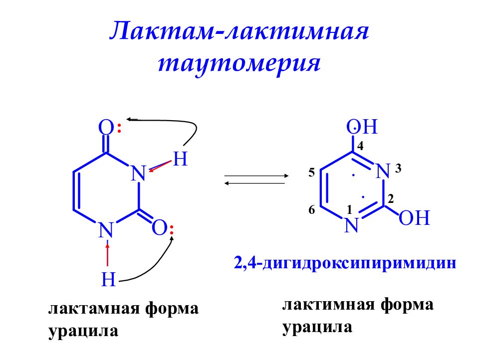 Схема таутомерных превращений гуанина