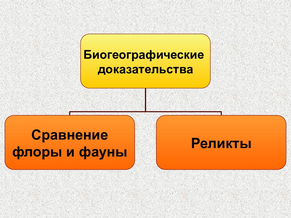 Сравни и докажи. Реликтовые доказательства эволюции. Биогеографические доказательства сравнение Флоры и фауны. Доказательства эволюции опорная схема. Реликтовые доказательства эволюции примеры.