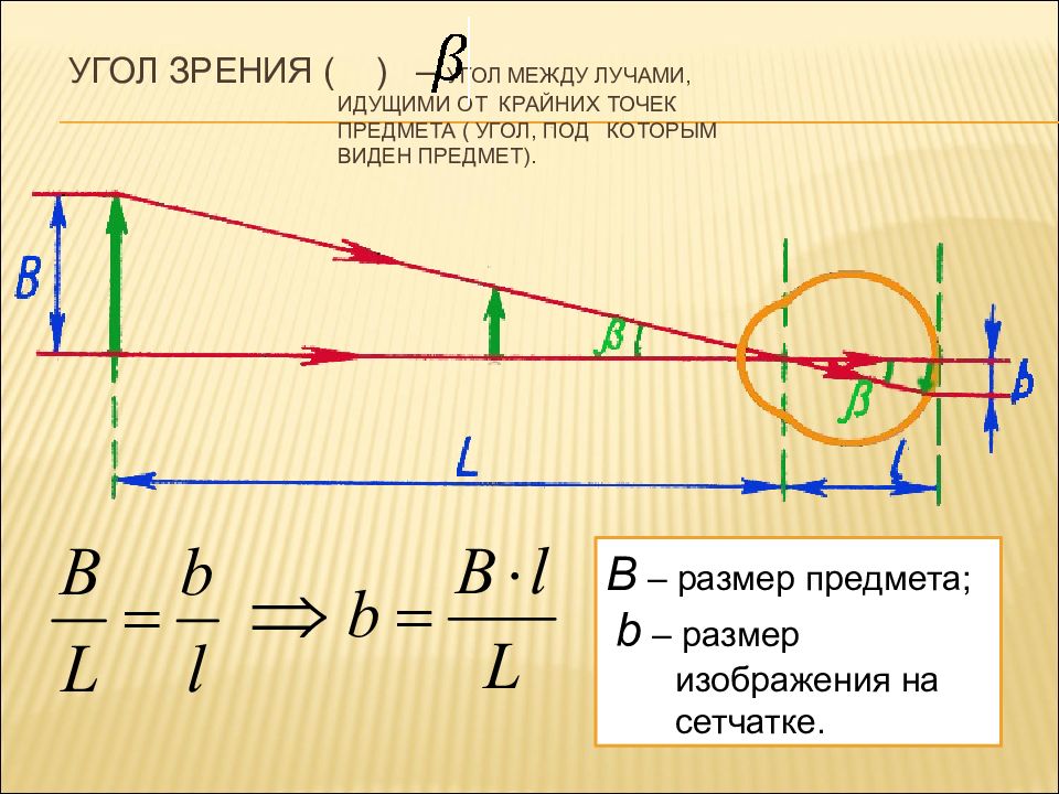 Вторая точка зрения. Угол зрения формула физика. Ход лучей в оптической системе глаза. Предельный угол зрения. Угол зрения изобразить графически.