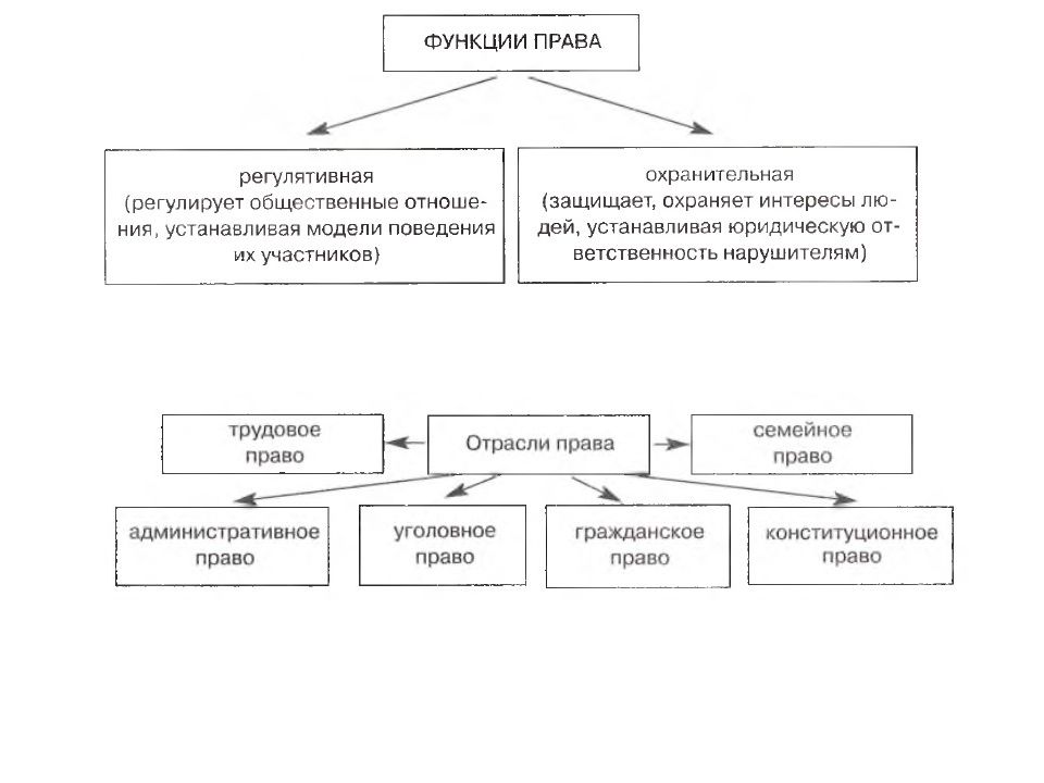 Обществознание 7 класс в схемах и таблицах