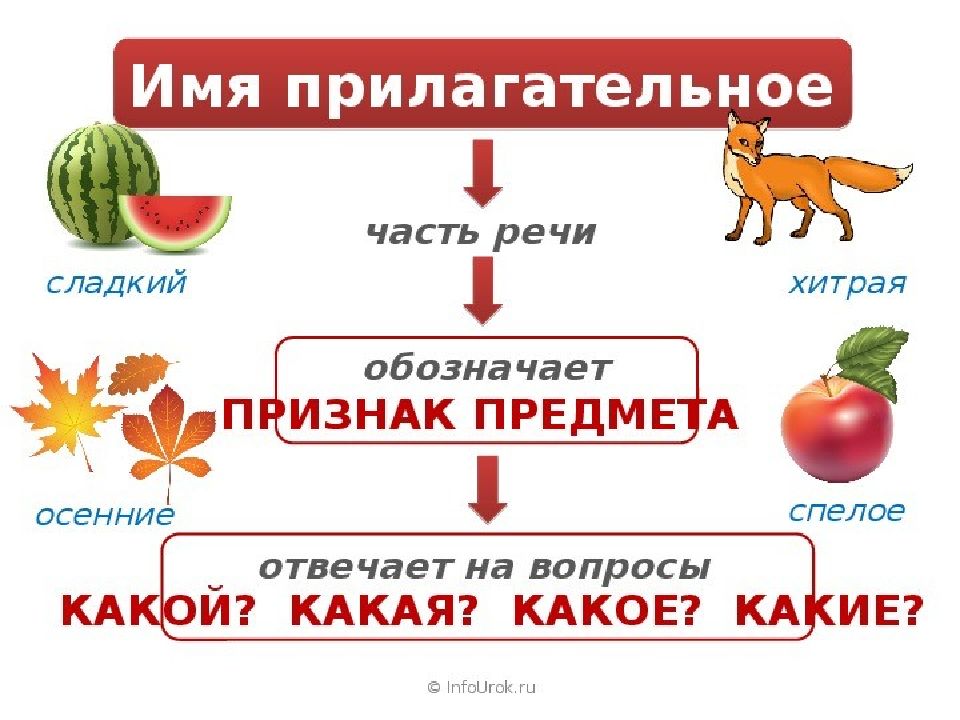 Часто прилагательное. Определение имени прилагательного 2 класс. Имя прилагательное определение 2 класс. Таблица прилагательное 2 класс. Таблица имя прилагательное 2 класс.