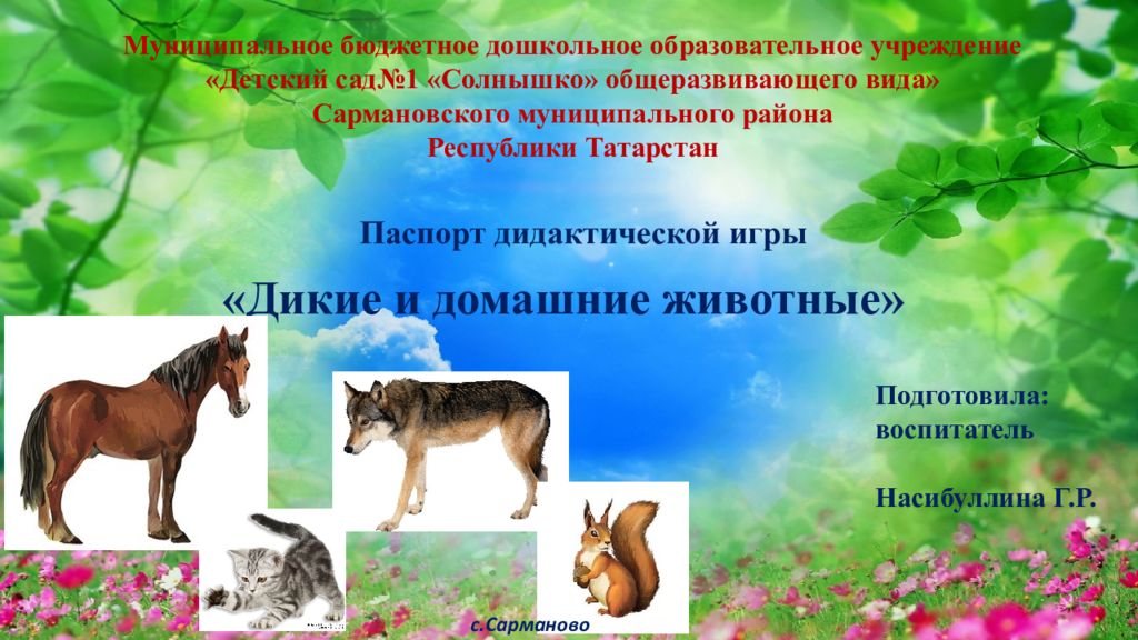 Муниципальное бюджетное дошкольное образовательное учреждение «Детский сад№1