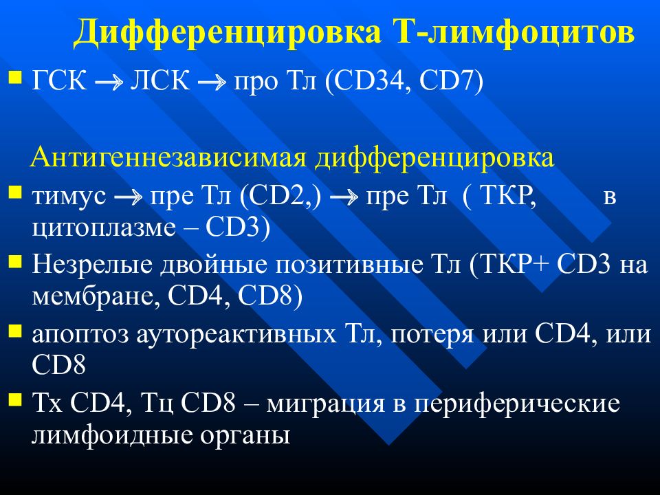 Дифференцировка лимфоцитов. Этапы антигеннезависимой дифференцировки в-лимфоцитов. Дифференцировка т лимфоцитов. Антигеннезависимая дифференцировка b лимфоцитов. Антиген независимо дифференцировка.