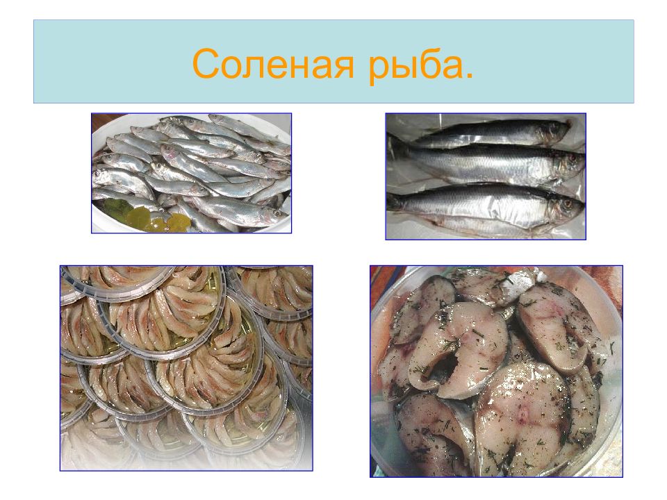Соленая рыба ребенку. Виды соленой рыбы. Характеристика соленой рыбы. Соленая рыба разновидности.