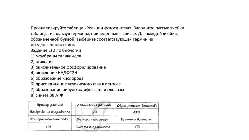 Задания по метаболизму клетки