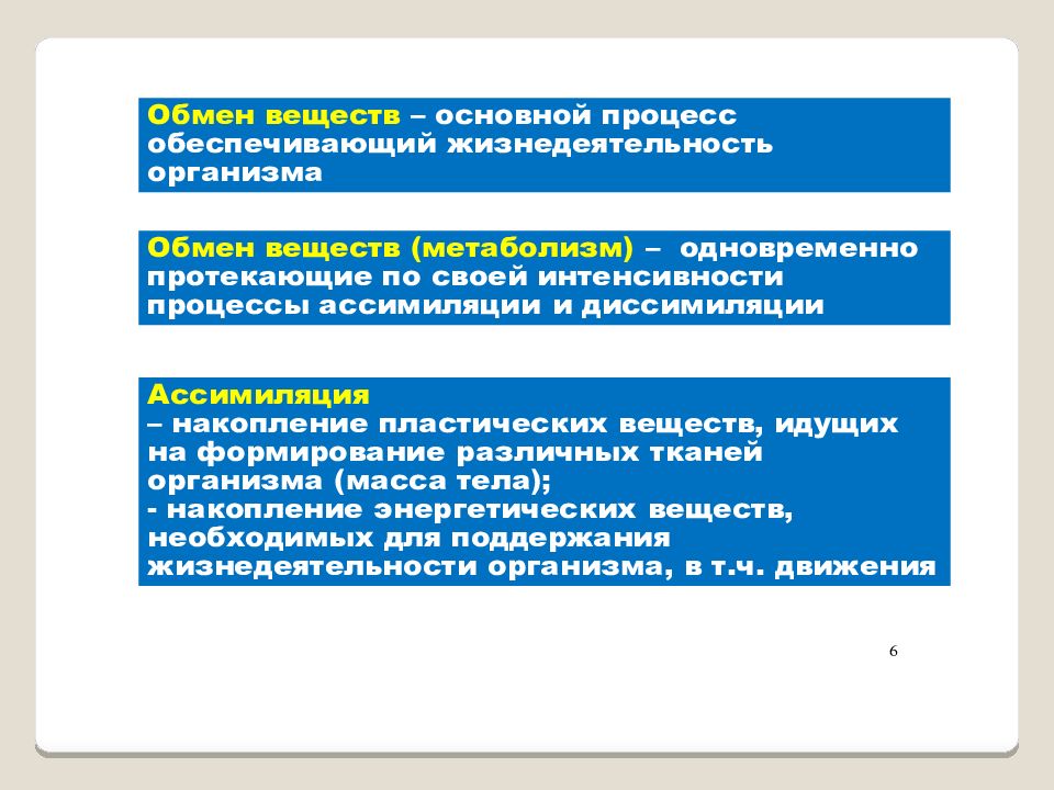 Физиология физического воспитания и спорта. Три основополагающих процесса жизнедеятельности организации.