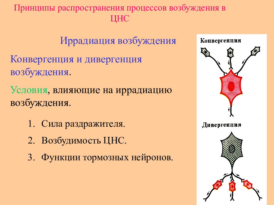 Какое бывает возбуждение