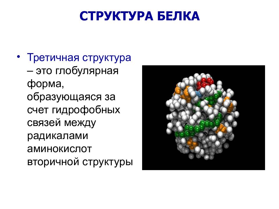 Презентация на тему белки по химии 9 класс