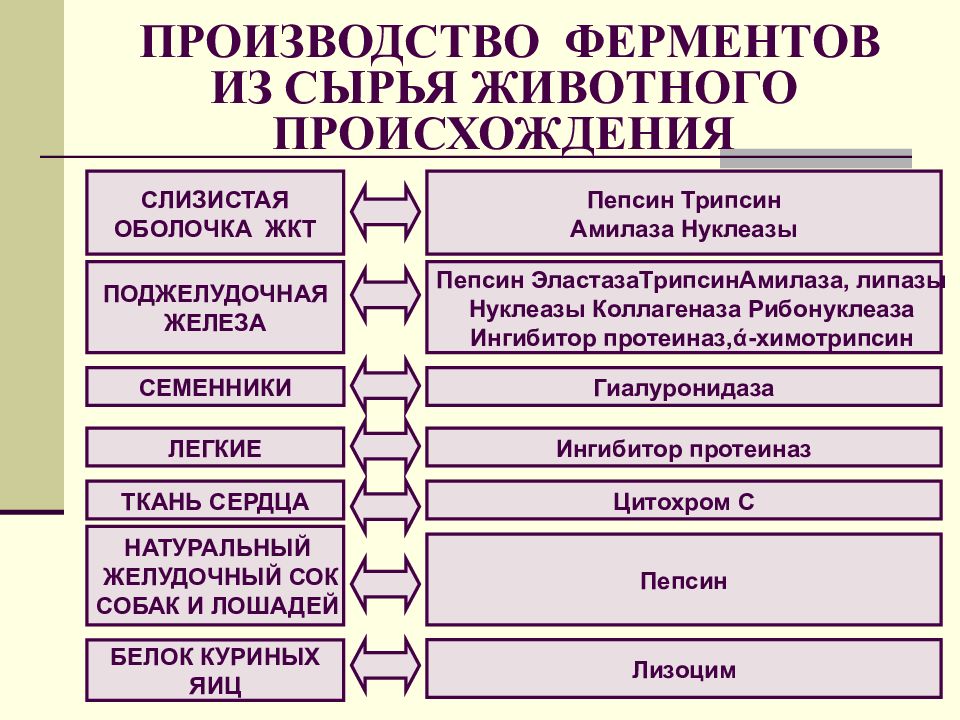 Презентация ферменты в промышленности