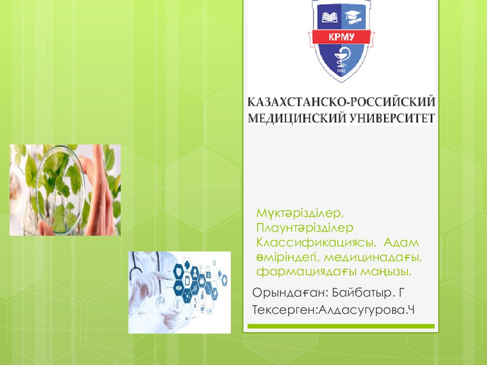 Мүктәрізділер, Плаунтәрізділер Классификациясы. Адам өміріндегі, медицинадағы, фармациядағы маңызы.