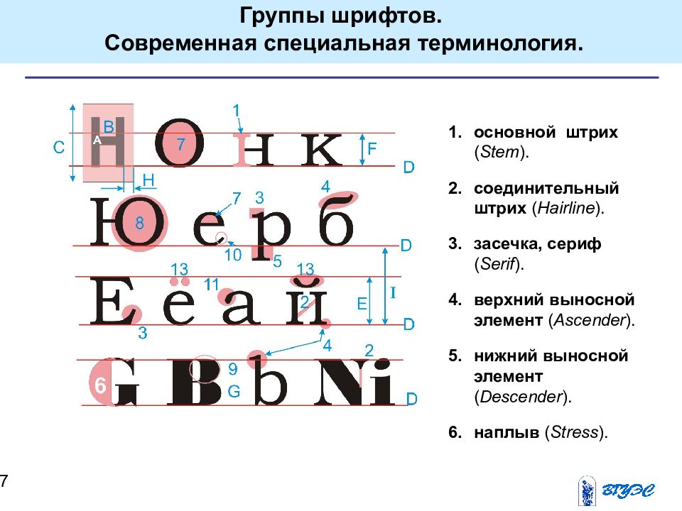 Суть шрифта. Основные элементы шрифта. Выносные элементы шрифта. Элементы букв в шрифтах. Основные группы шрифтов.