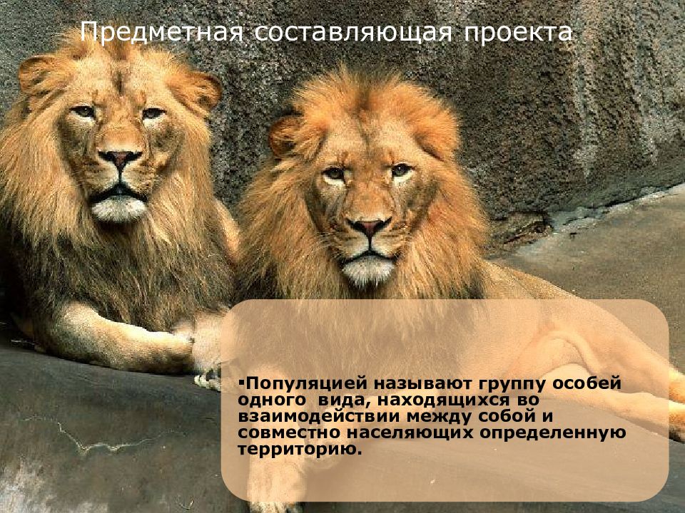 Находясь вид. Группа особей одного вида. Видом называется группа особей. Взаимоотношения между особями одной популяции называется. Взаимодействие между особями одного вида называются.