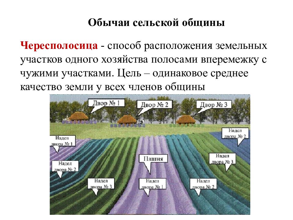 Вперемежку. Чересполосица. Чересполосица земельных участков. Чересполосица земельного участка это. Понятие чересполосица.