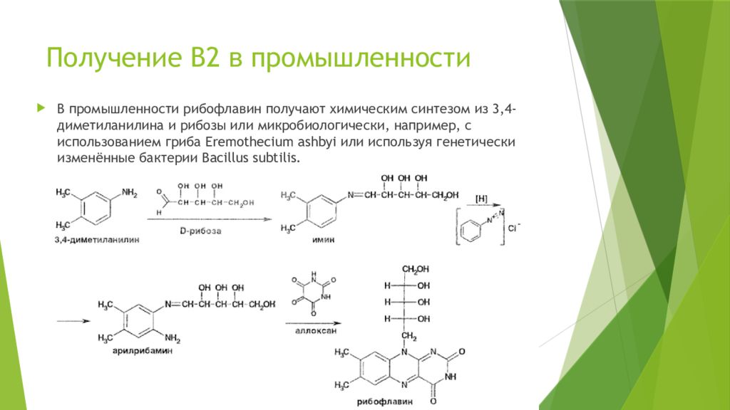Биосинтез витаминов. Микробиологический Синтез витамина в12. Биосинтез витамина в12 схема. Синтез рибофлавина формула. Биосинтеза витамина в2 микробиологический.