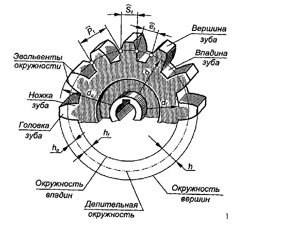 Диаметр делительной окружности. Делительный цилиндр зубчатого колеса. Делительная окружность шестерни зуба. Параметры и конструкции цилиндрических зубчатых передач. Параметры цилиндрического зубчатого колеса плакат.