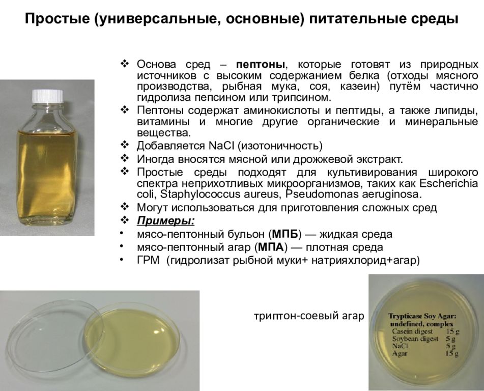 Тема: Классификация питательных сред для культивирования бактерий и ...