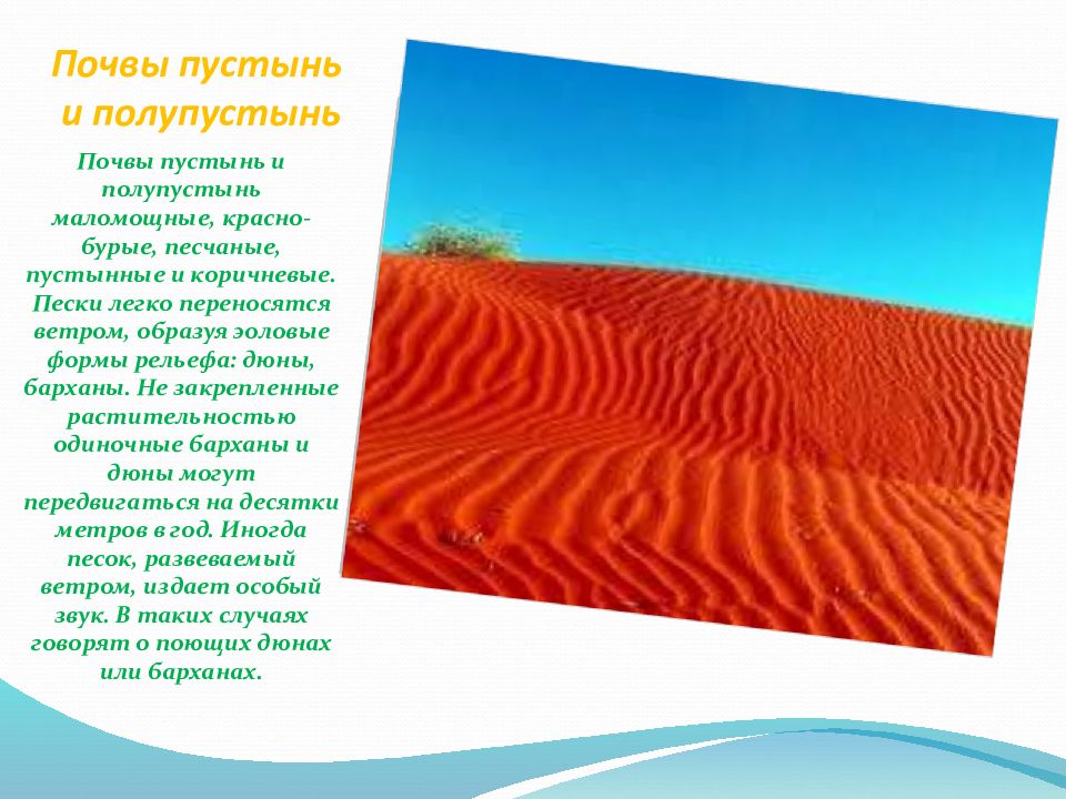 Почвы полупустынь. Красно бурые почвы. Почва пустыни. Пустыни и полупустыни почва.