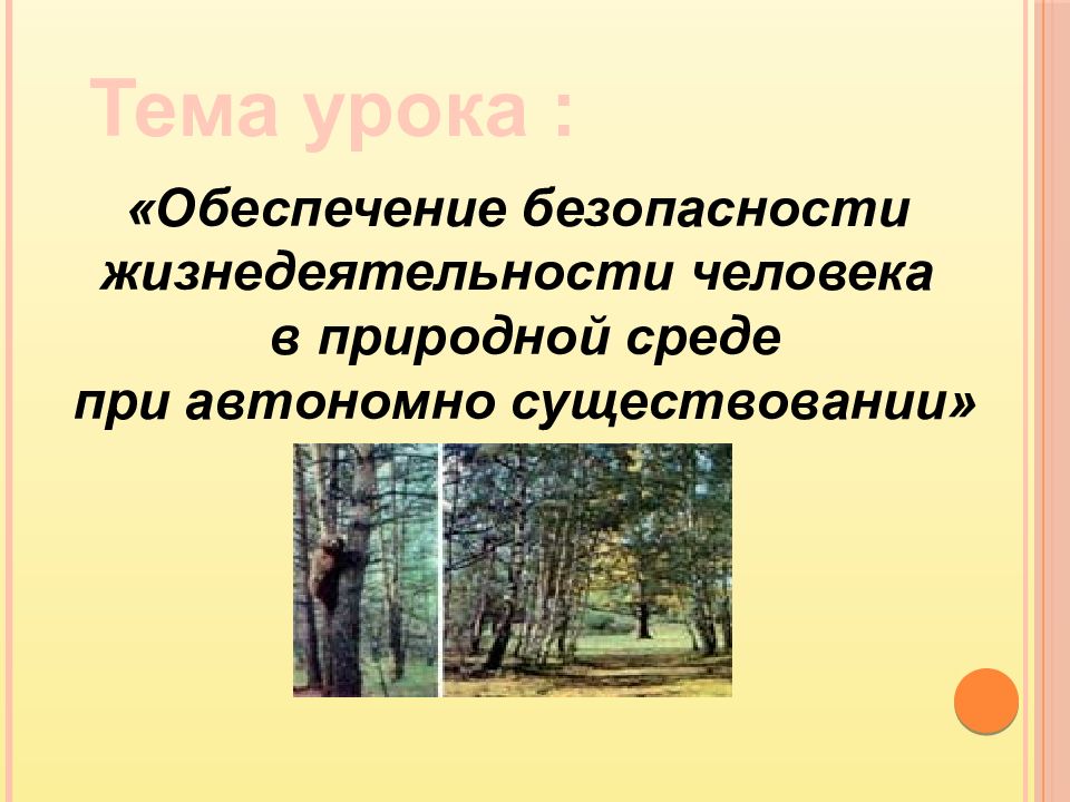 Безопасность в природной среде 9 класс. Обеспечение безопасности в природной среде. Обеспечение жизнедеятельности при автономном существовании. Безопасность человека в природных условиях. Обеспечение жизнедеятельности человека в природной среде.