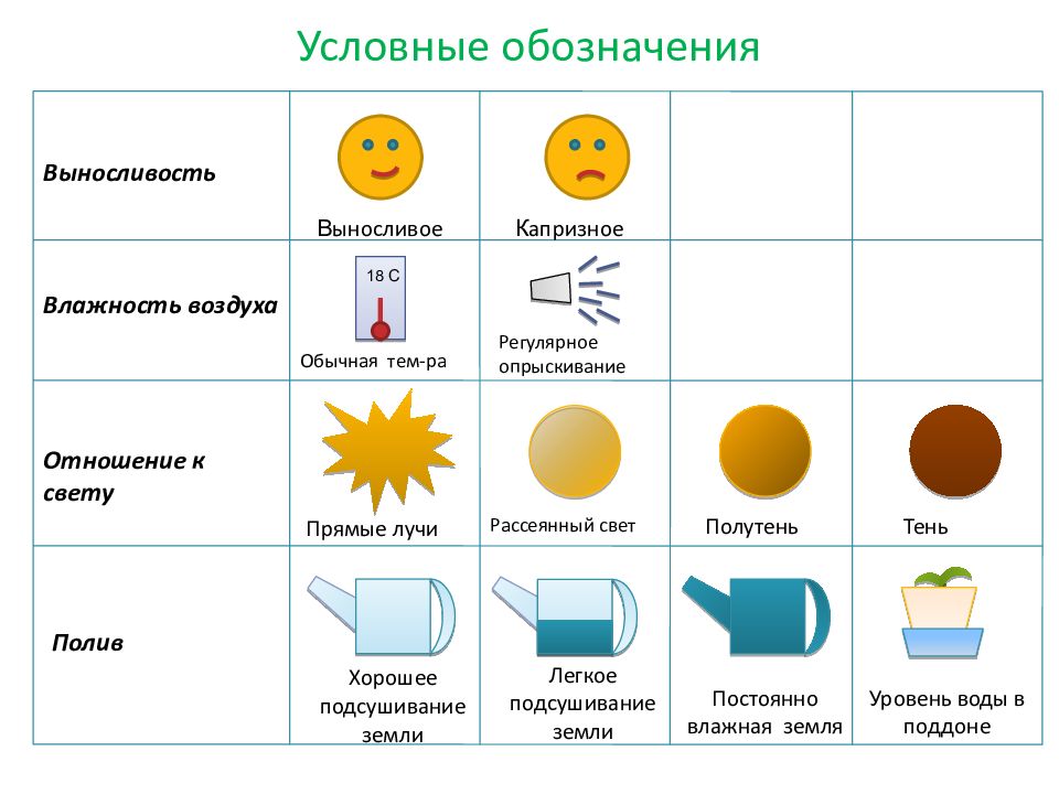 Паспорт растения образец