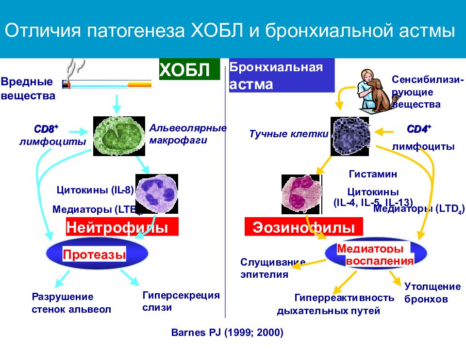 Хроническая обструктивная болезнь легких картинки