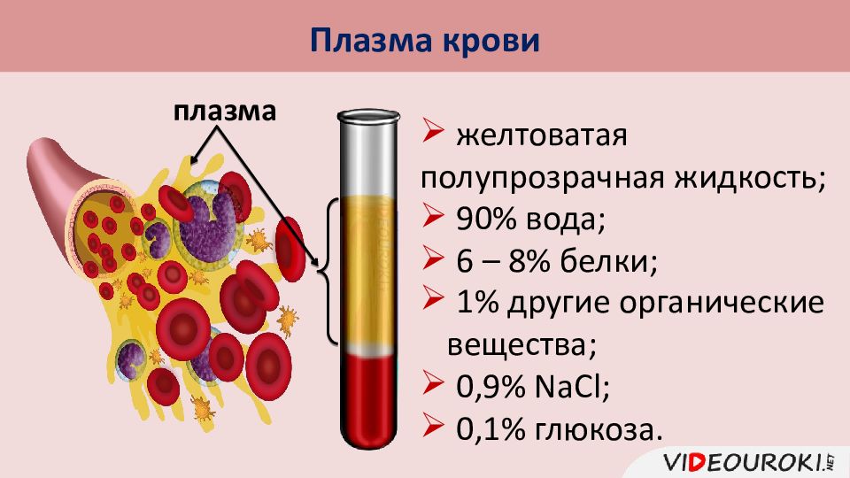 Внутренняя среда организма презентация