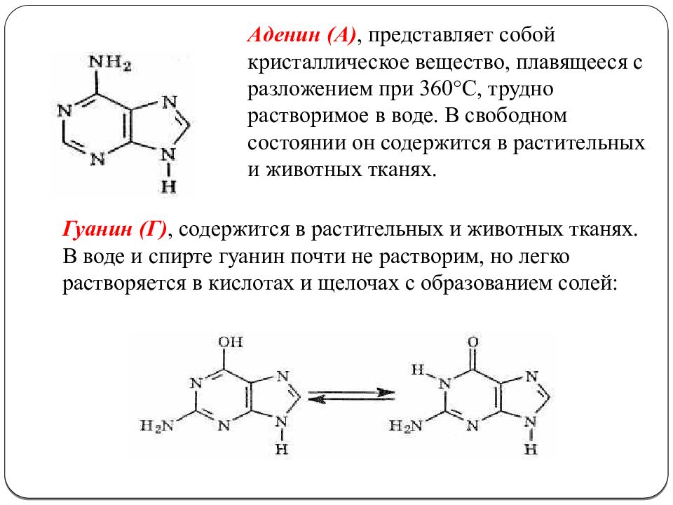 Гуанин содержащие. Гуанин систематическое название. Аденин функции. Аденин структура. Строение гуанина.