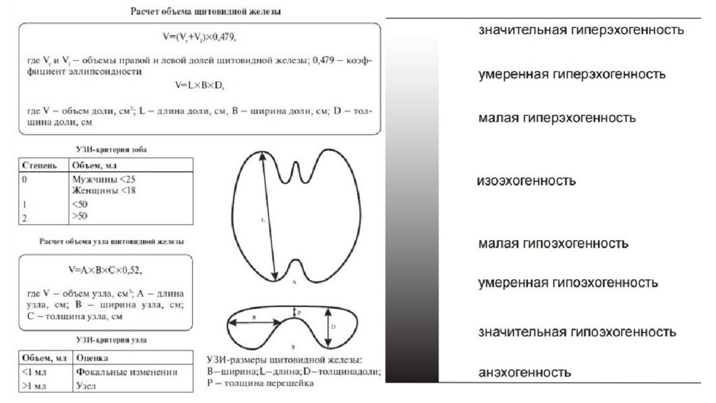 Расшифровка щитовидной железы. Измерение размеров щитовидной железы на УЗИ. Измерение объема щитовидной железы на УЗИ. Норма объема щитовидной железы по УЗИ У детей. Длина ширина толщина щитовидной железы на УЗИ.