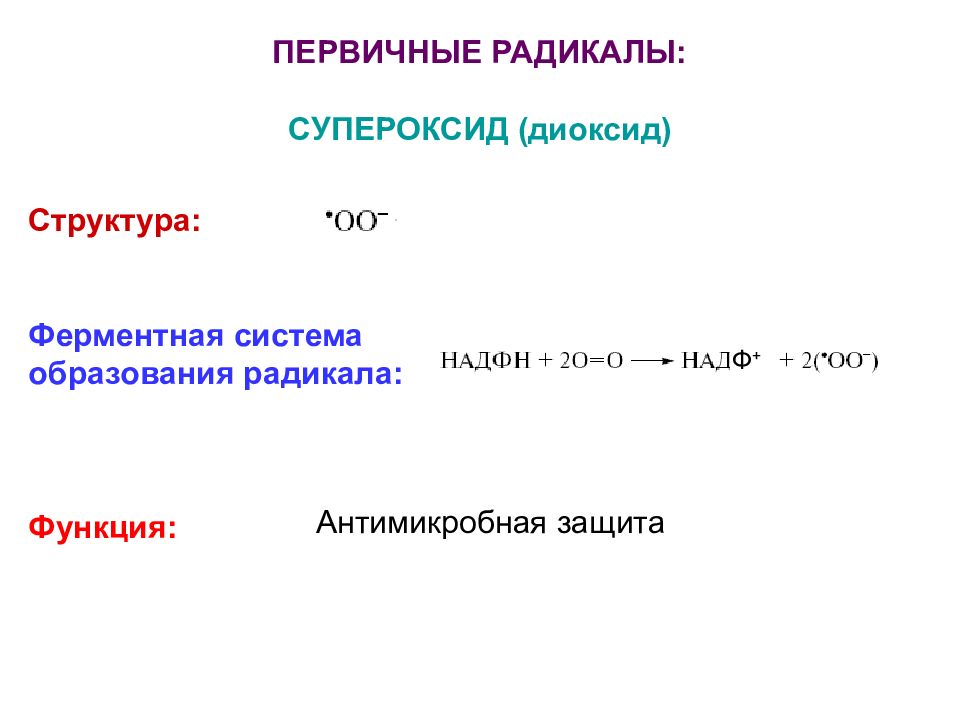 Главный радикал