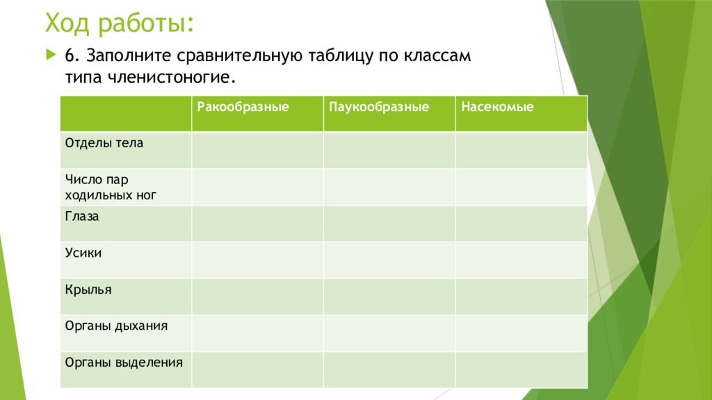 Как определить отряд насекомого по картинке?