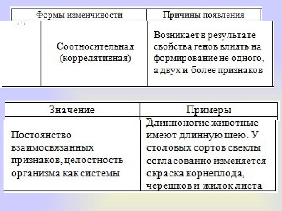 Соотносительная изменчивость. Соотносительная наследственная изменчивость. Коррелятивная форма изменчивости. Коррелятивная изменчивость примеры. Соотносительная изменчивость примеры.