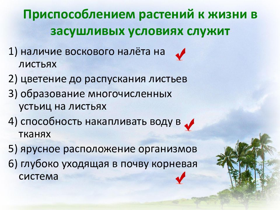 Какое приспособление к засушливым условиям обитания характерно для изображенных на фото растений