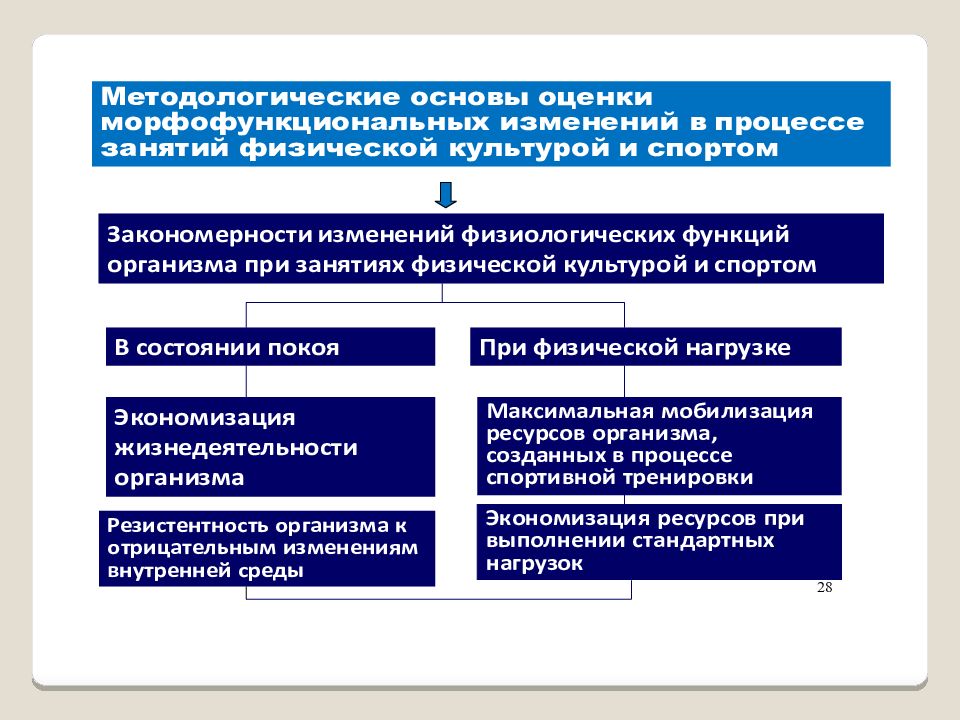 Физиология физического воспитания и спорта. Презентация по физиологии физического воспитания и спорта. Физиология физического воспитания и спорта презентация. РПД физиология физического воспитания и спорта. Какие разделы включает физиология физического воспитания и спорта.