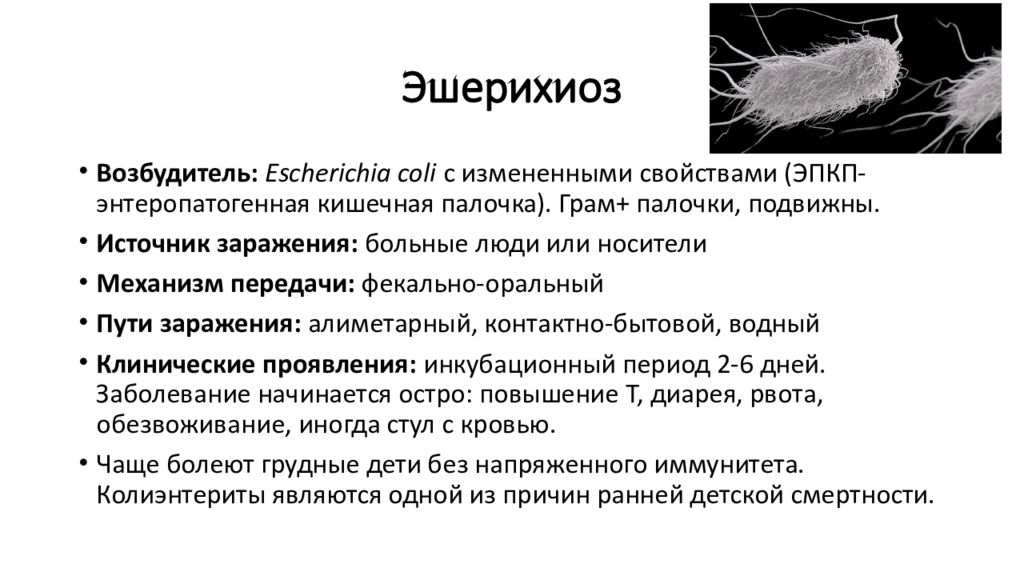 Эшерихиозы инфекционные болезни презентация