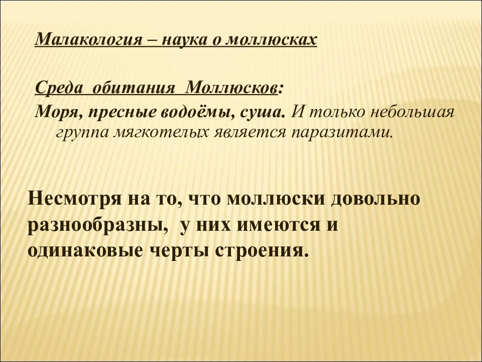 Составьте план предполагаемой экскурсии на тему древние обитатели нашей планеты