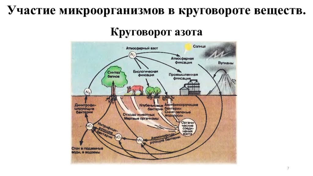 Составить схему круговорота веществ воды