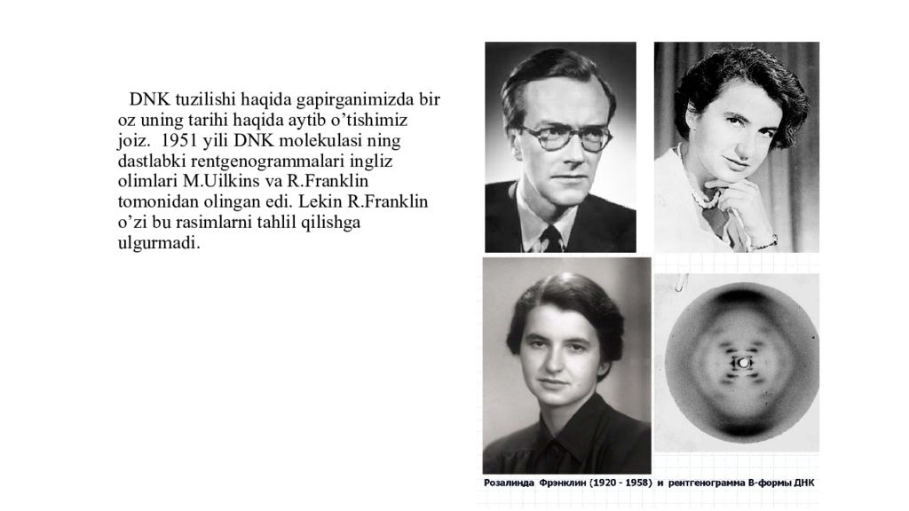 DNK ning tuzilishi va DNK replikatsiyasi DNK ning tuzilishi va DNK replikatsiyasi