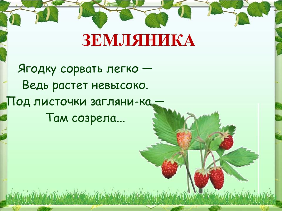 Там ка слово. Загадки про землянику для дошкольников. Загадка про землянику. Загадка про землянику для детей. Стихи про землянику.