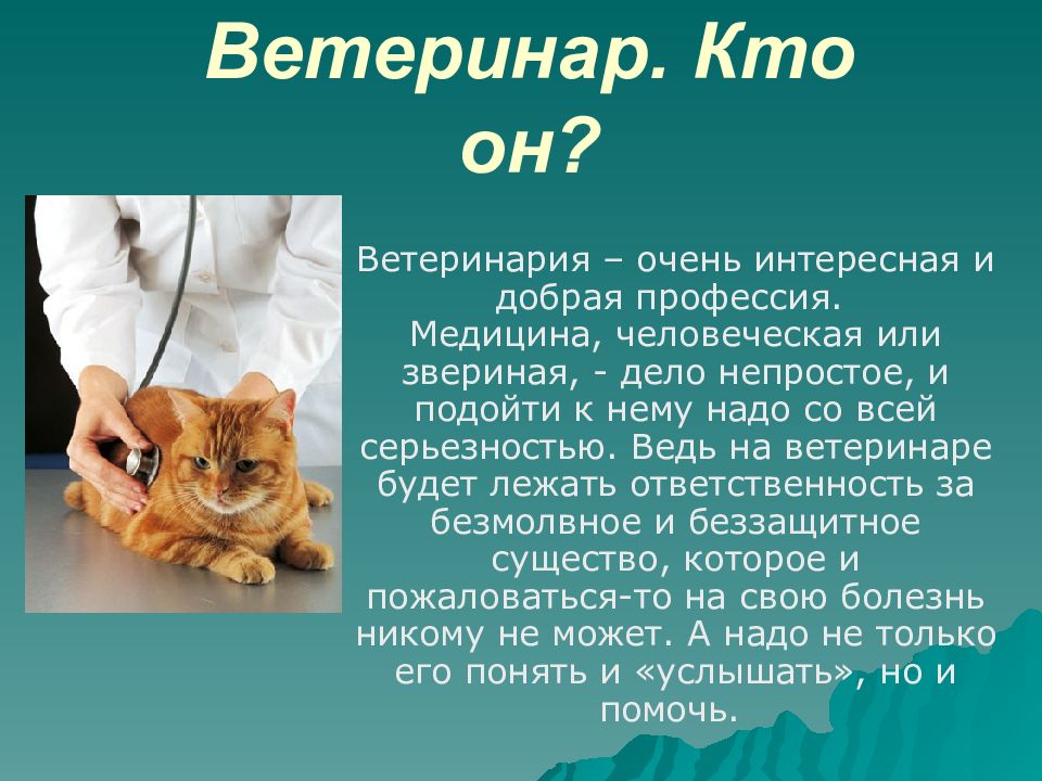 Профессия ветеринар. Добрые профессии. Кто такой ветеринар. Плюсы и минусы работы ветеринаром. Ветеринар его значение.