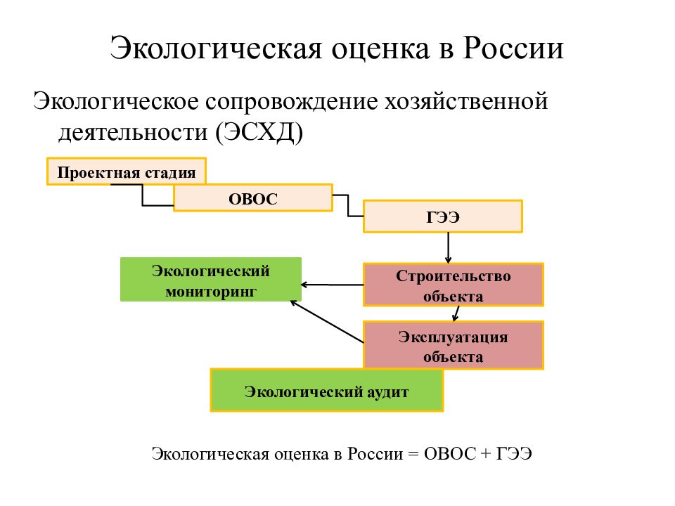 Масштаб экологической оценки или экологического анализа для проектов категории а