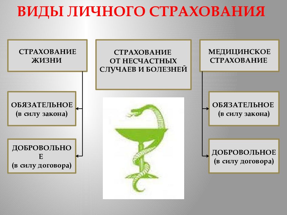 Виды личного страхования. Виды страхования жизни. Личное страхование. Страхование жизни это вид личного страхования.