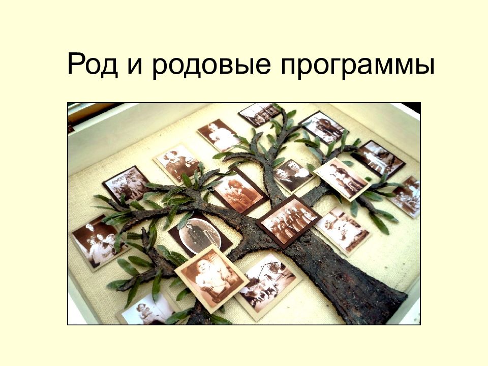 Род и родовые программы