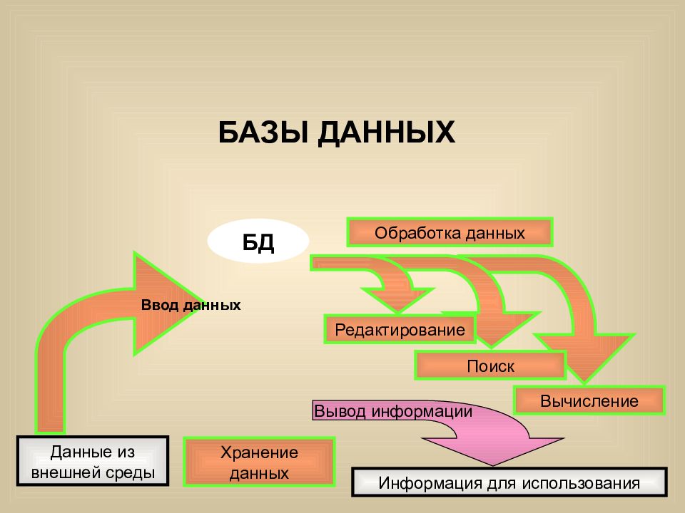 Хранение и обработка информации в базах данных 8 класс презентация семакин