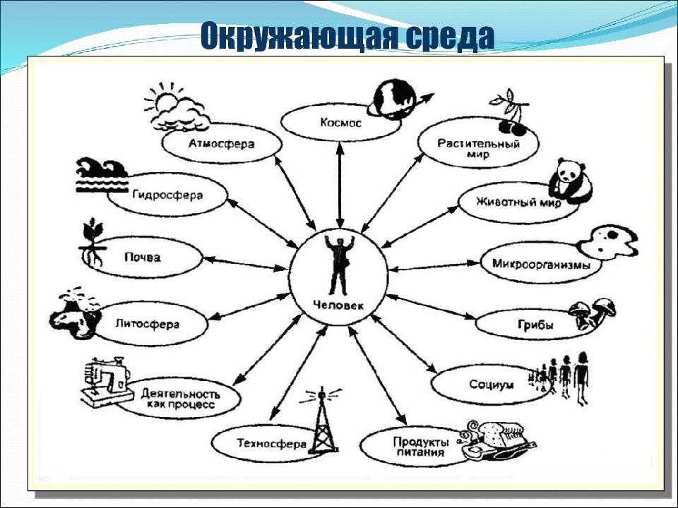 Искусство 5 класс человек и животный мир. Примеры техносферы. Техносфера примеры. Техносфера презентация. Живые объекты техносферы примеры.